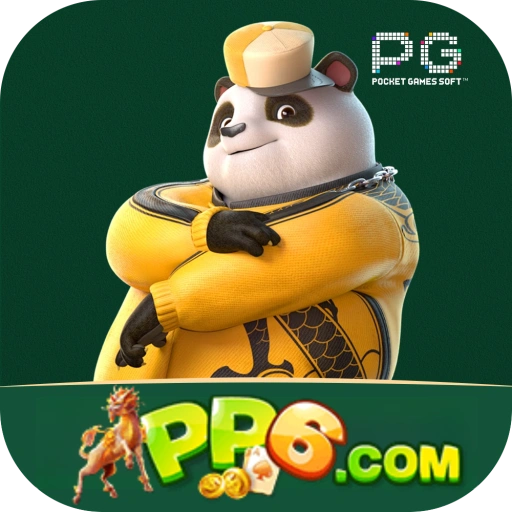 pp6 logo